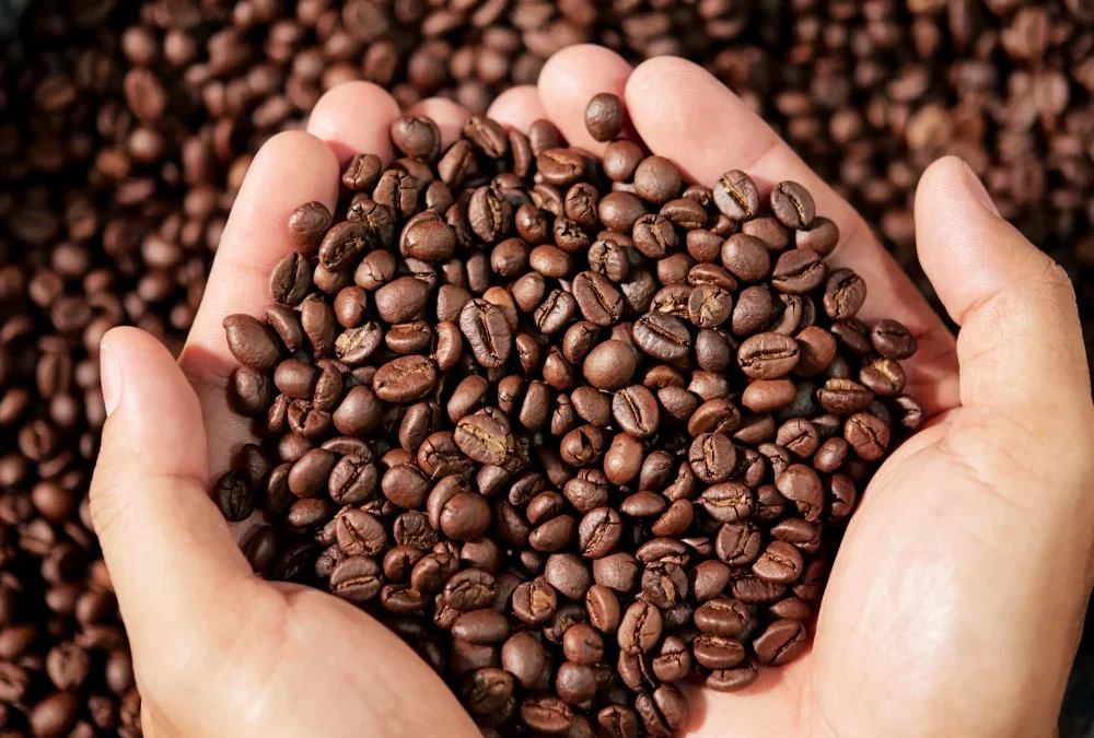 Tipos de granos de café: descubre sus diferencias y cuál es el ideal para ti