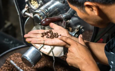 Producción orgánica de café: beneficios y desafíos